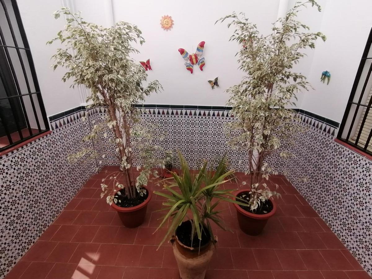 Cómpeta Vivienda Rural Boreal מראה חיצוני תמונה